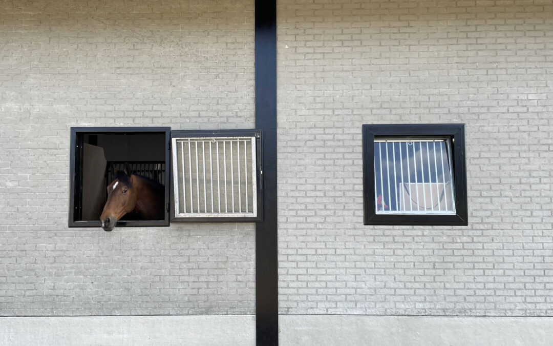 Beschermd: Manege te Dilsen-Stokkem
